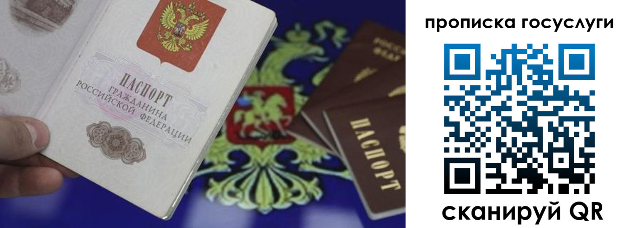 прописка для школы в Бологом